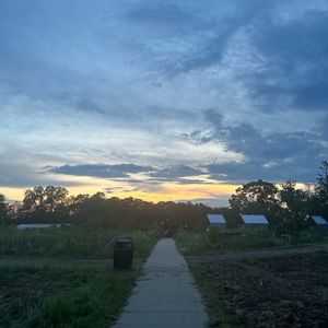 Meet your Posher, Lynnetta